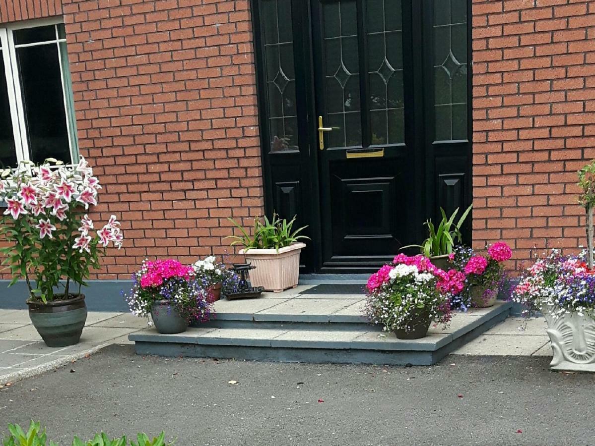 Scapaflow B&B O'Briensbridge Exterior foto